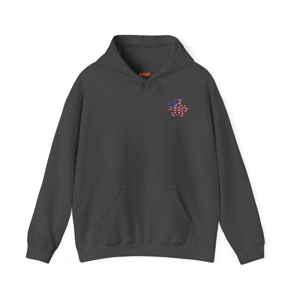 Big Rucks Heavy Pack Eagle Graphic Hoodie
